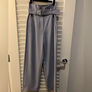 Aritzia Babaton power pants